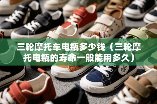 三轮摩托车电瓶多少钱（三轮摩托电瓶的寿命一般能用多久）