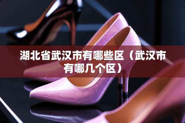湖北省武汉市有哪些区（武汉市有哪几个区）