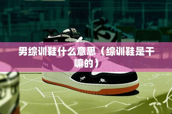 男综训鞋什么意思（综训鞋是干嘛的）