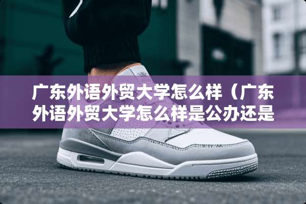 广东外语外贸大学怎么样（广东外语外贸大学怎么样是公办还是私办的民办的）