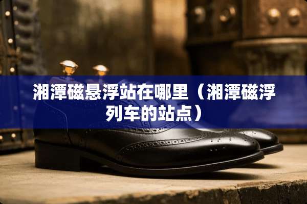 湘潭磁悬浮站在哪里（湘潭磁浮列车的站点）