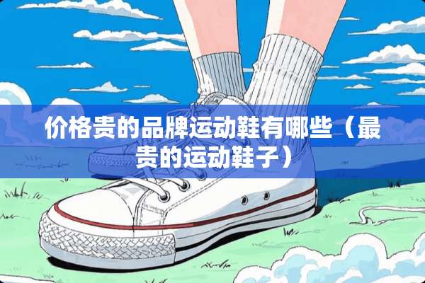 价格贵的品牌运动鞋有哪些（最贵的运动鞋子）