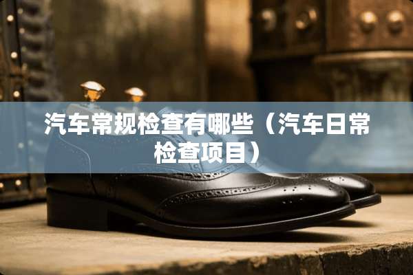 汽车常规检查有哪些（汽车日常检查项目）