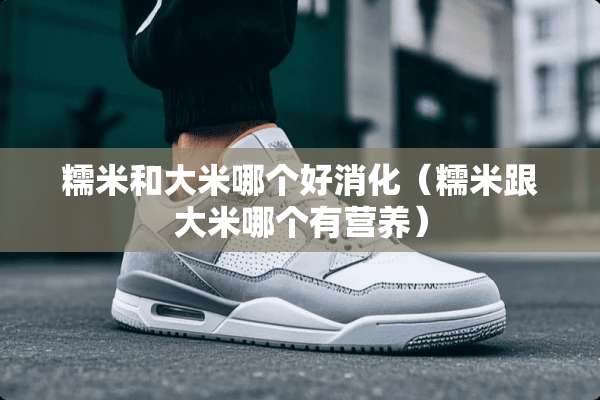 糯米和大米哪个好消化（糯米跟大米哪个有营养）
