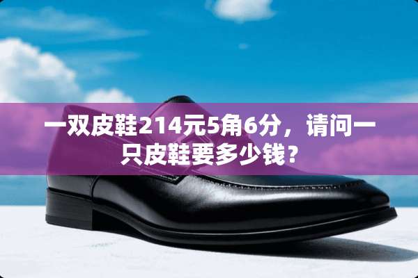 一双皮鞋214元5角6分，请问一只皮鞋要多少钱？
