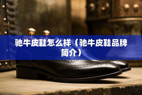 驰牛皮鞋怎么样（驰牛皮鞋品牌简介）