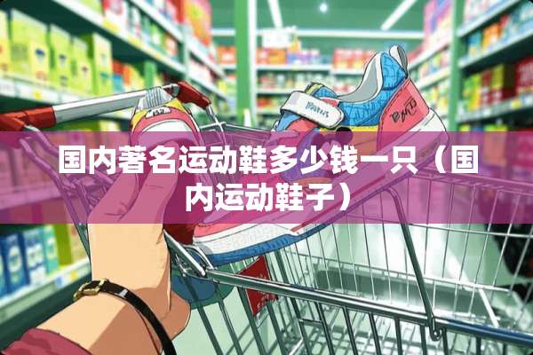 国内著名运动鞋多少钱一只（国内运动鞋子）