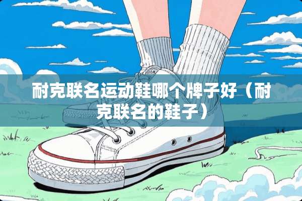 耐克联名运动鞋哪个牌子好（耐克联名的鞋子）