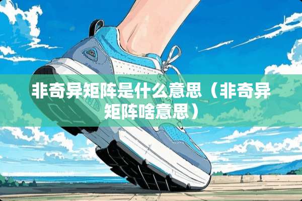 非奇异矩阵是什么意思（非奇异矩阵啥意思）