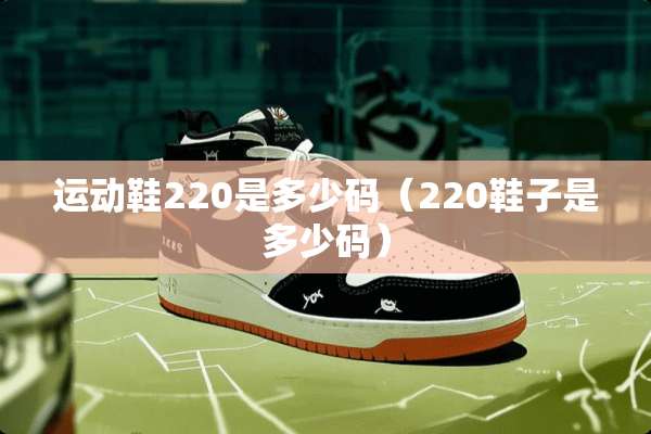 运动鞋220是多少码（220鞋子是多少码）