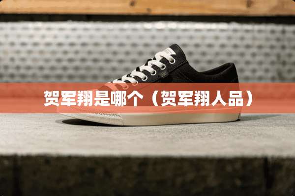 贺军翔是哪个（贺军翔人品）