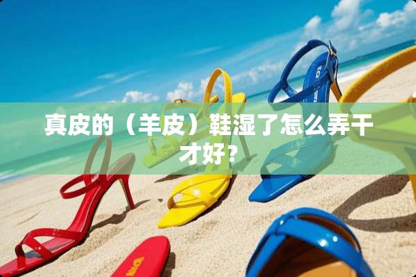 真皮的（羊皮）鞋湿了怎么弄干才好？