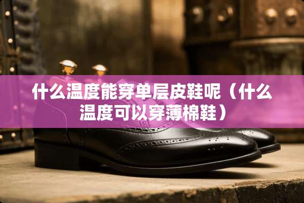 什么温度能穿单层皮鞋呢（什么温度可以穿薄棉鞋）