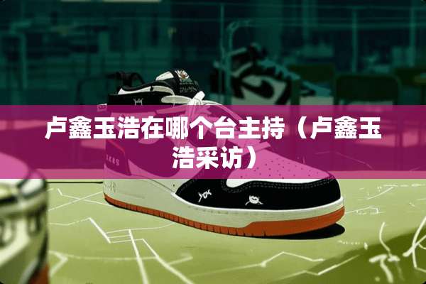 卢鑫玉浩在哪个台主持（卢鑫玉浩采访）