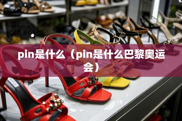 pin是什么（pin是什么巴黎奥运会）