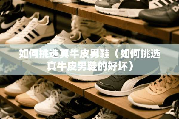如何挑选真牛皮男鞋（如何挑选真牛皮男鞋的好坏）