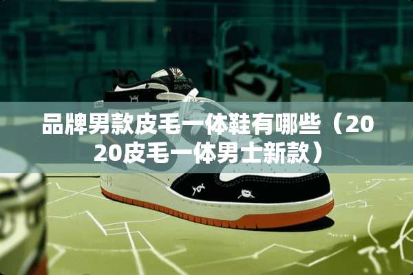 品牌男款皮毛一体鞋有哪些（2020皮毛一体男士新款）