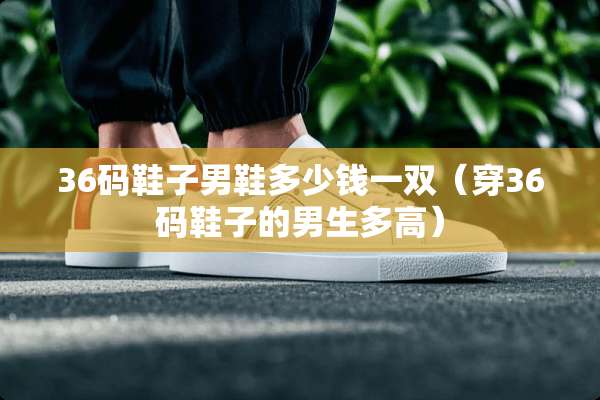 36码鞋子男鞋多少钱一双（穿36码鞋子的男生多高）