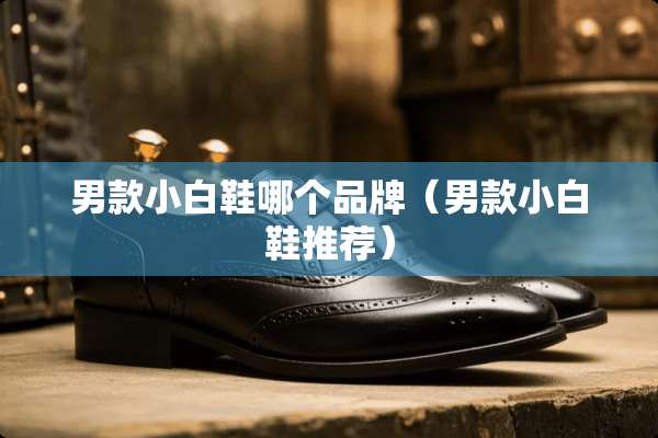 男款小白鞋哪个品牌（男款小白鞋推荐）