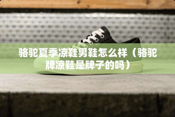 骆驼夏季凉鞋男鞋怎么样（骆驼牌凉鞋是牌子的吗）