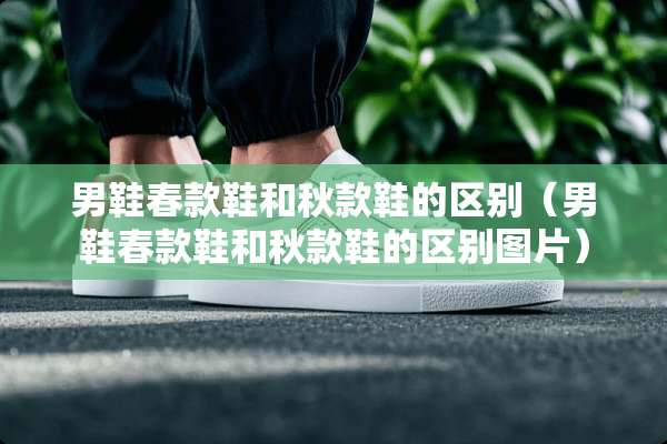 男鞋春款鞋和秋款鞋的区别（男鞋春款鞋和秋款鞋的区别图片）