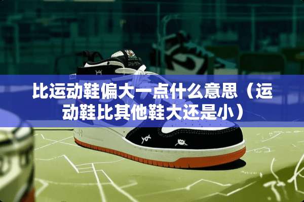 比运动鞋偏大一点什么意思（运动鞋比其他鞋大还是小）