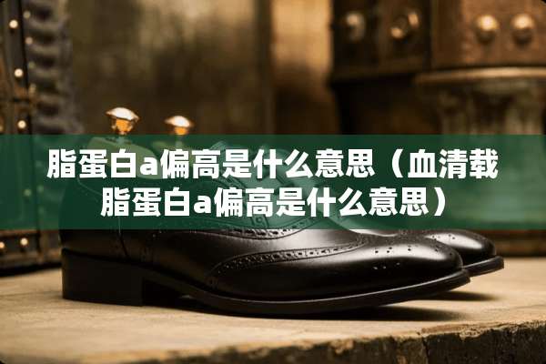 脂蛋白a偏高是什么意思（血清载脂蛋白a偏高是什么意思）