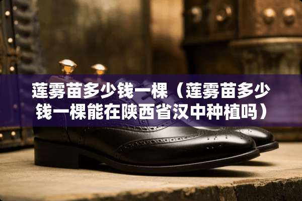 莲雾苗多少钱一棵（莲雾苗多少钱一棵能在陕西省汉中种植吗）
