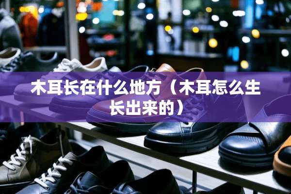木耳长在什么地方（木耳怎么生长出来的）