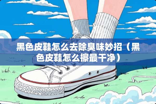 黑色皮鞋怎么去除臭味妙招（黑色皮鞋怎么擦最干净）