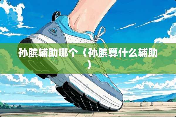 孙膑辅助哪个（孙膑算什么辅助）