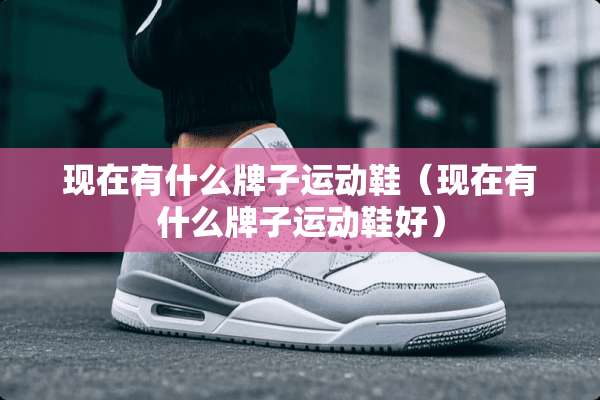 现在有什么牌子运动鞋（现在有什么牌子运动鞋好）