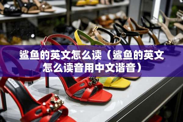 鲨鱼的英文怎么读（鲨鱼的英文怎么读音用中文谐音）