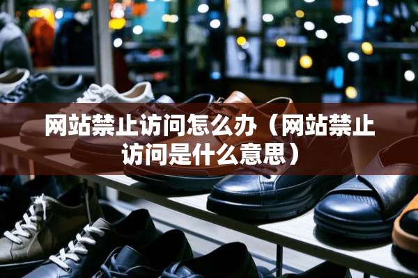 网站禁止访问怎么办（网站禁止访问是什么意思）