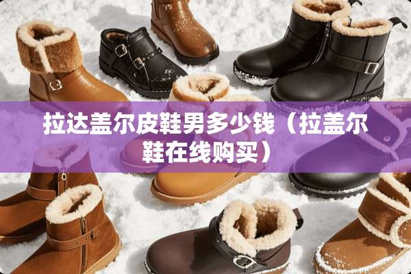拉达盖尔皮鞋男多少钱（拉盖尔鞋在线购买）