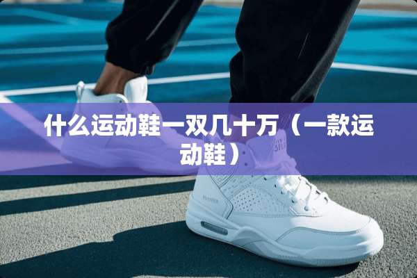 什么运动鞋一双几十万（一款运动鞋）