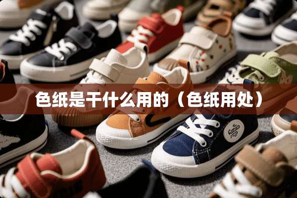 色纸是干什么用的（色纸用处）