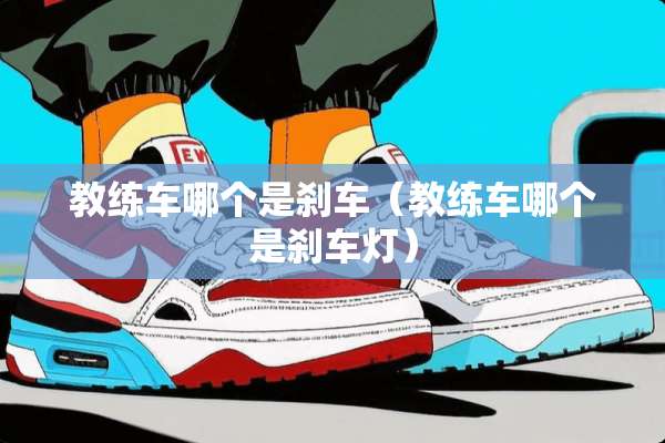 教练车哪个是刹车（教练车哪个是刹车灯）