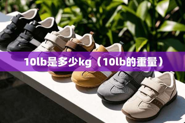 10lb是多少kg（10lb的重量）