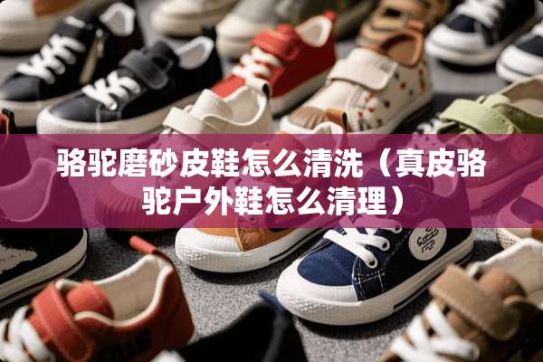 骆驼磨砂皮鞋怎么清洗（真皮骆驼户外鞋怎么清理）