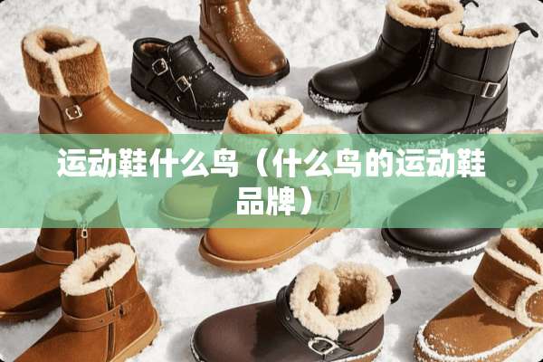 运动鞋什么鸟（什么鸟的运动鞋品牌）