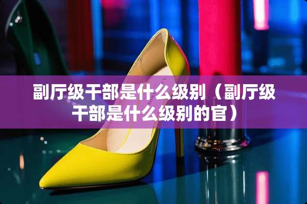 副厅级干部是什么级别（副厅级干部是什么级别的官）