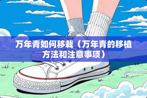 万年青如何移栽（万年青的移植方法和注意事项）