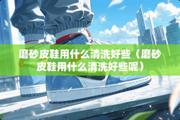 磨砂皮鞋用什么清洗好些（磨砂皮鞋用什么清洗好些呢）