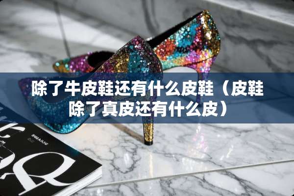 除了牛皮鞋还有什么皮鞋（皮鞋除了真皮还有什么皮）