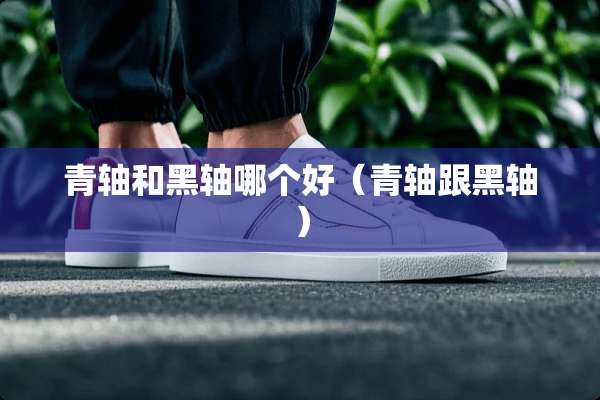 青轴和黑轴哪个好（青轴跟黑轴）