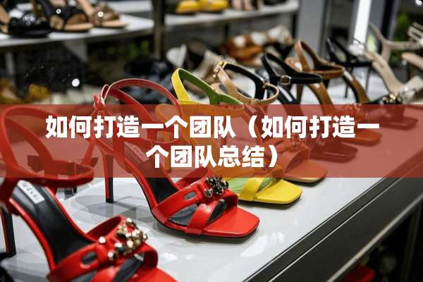 如何打造一个团队（如何打造一个团队总结）