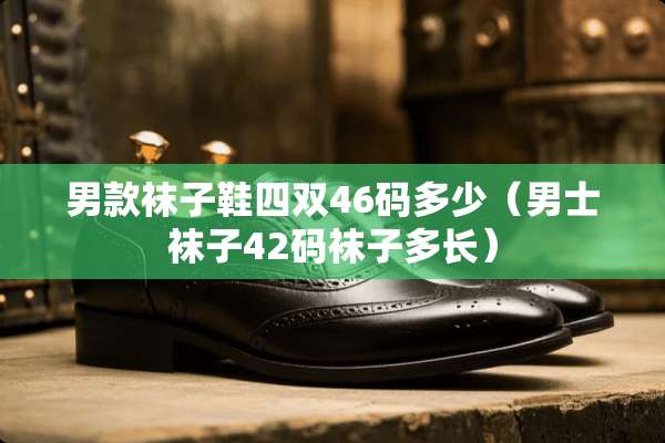 男款袜子鞋四双46码多少（男士袜子42码袜子多长）