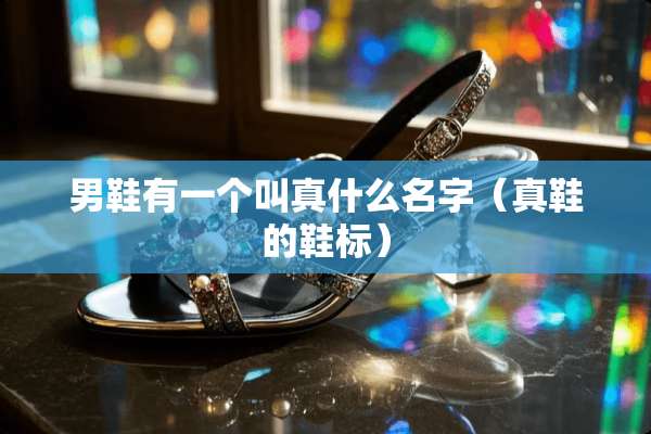 男鞋有一个叫真什么名字（真鞋的鞋标）