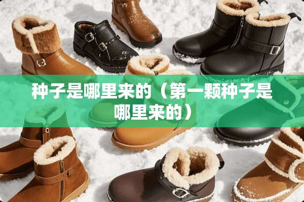 种子是哪里来的（第一颗种子是哪里来的）
